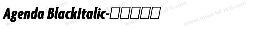 Agenda BlackItalic字体转换